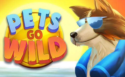 Pet Go Wild